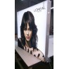 Illuminated Advertising Lightbox 60 mm (various sizes) - Klemp